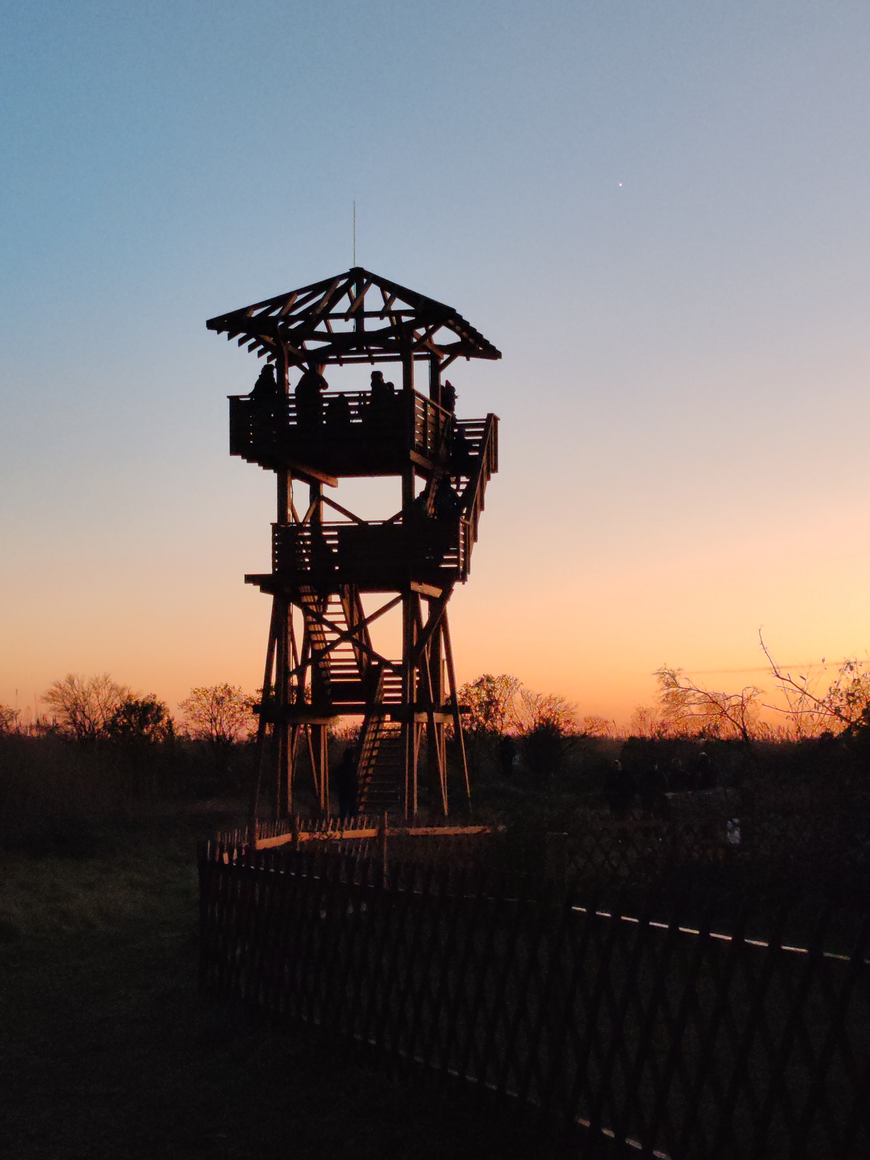 Madárbarát kert és kilátó